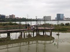 -立新湖公园