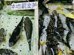 -大湾区中央湿地公园-十九涌