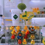 湛江探店｜实现榴莲自由的饮品🧃来啦！