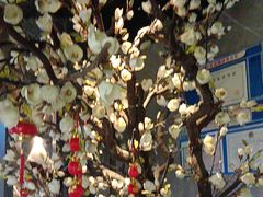 -仟汇足道·SPA(秀洲总店)