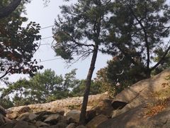 -崂山仰口游览区