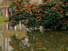 -中国科学院西双版纳热带植物园