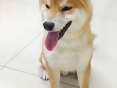 -乐宠宠物店(世纪金源店)