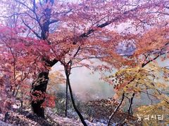 -龙道沟景区