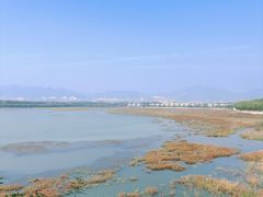 -青龙湖公园