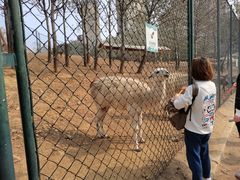 -大连森林动物园