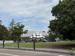 -金泽21世纪美术馆