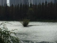 -艾溪湖湿地公园