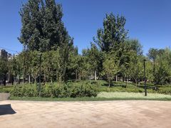 -东升文体公园