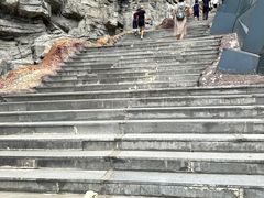 -辽宁古生物博物馆