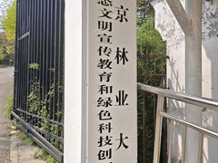 -北京鹫峰国家森林公园