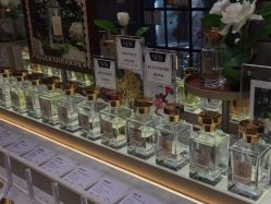 -香遇沙龙香水·调香·团建