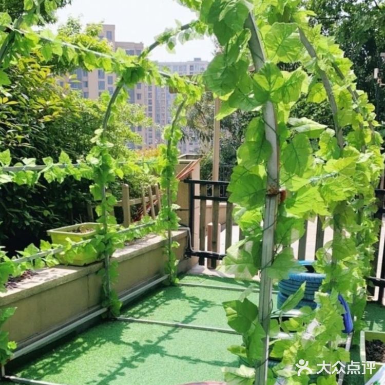 感受温柔一夏