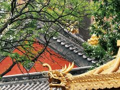 -护国法轮寺