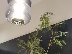 -玉玲珑·里舍(万象城店)