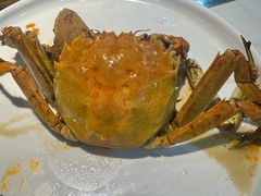 -苏格里岛自助烤肉海鲜火锅(成都金牛万达店)