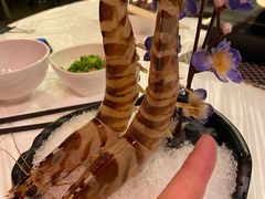 -鲜入围煮花胶鸡海鲜火锅