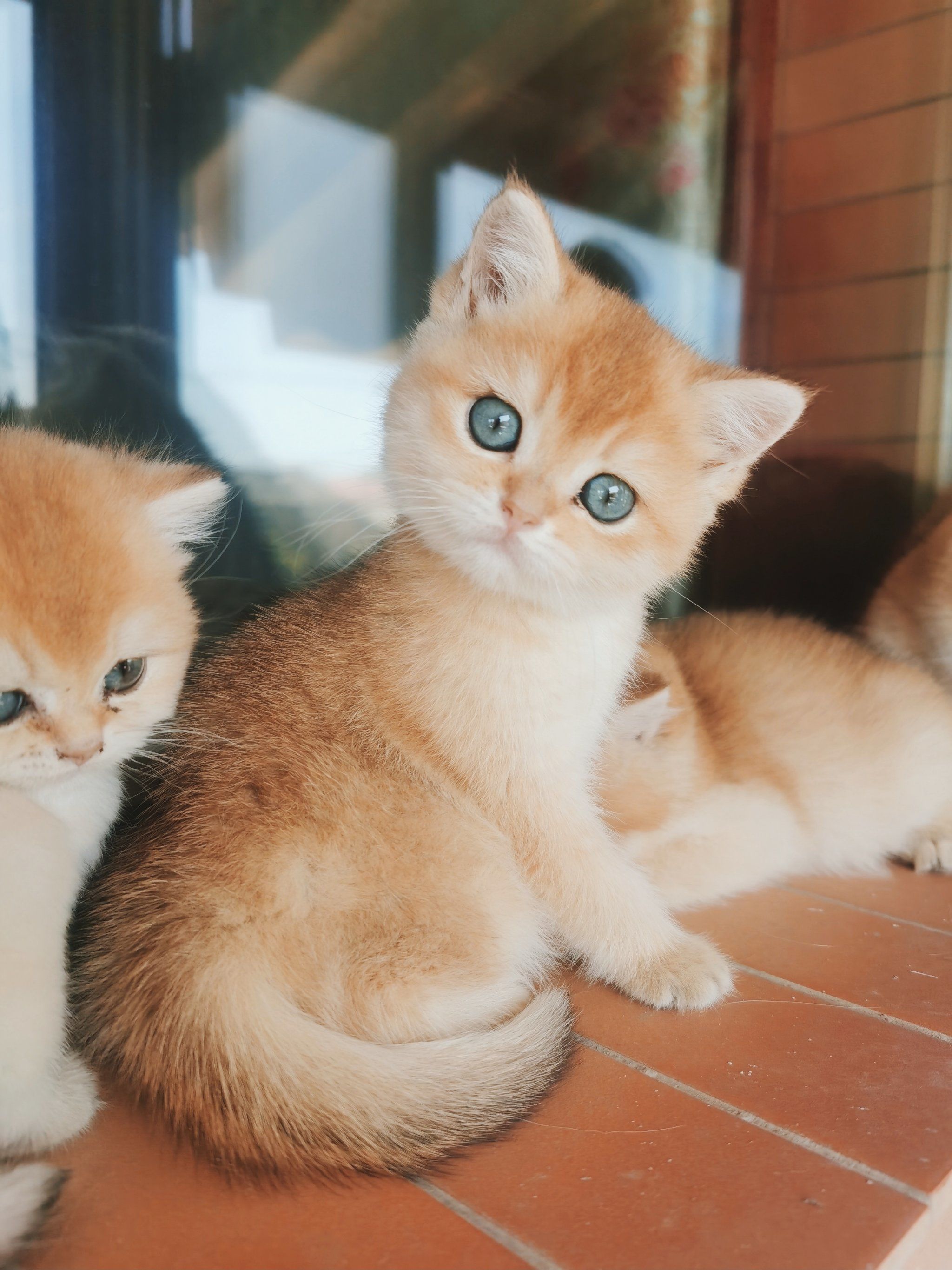 时候的照片,瞬间母爱泛滥滔滔不绝犹如黄河之水天上来,激荡奔腾挡不住