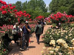 -郑州植物园
