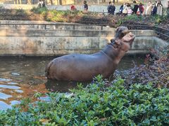 -合肥野生动物园