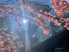 -蔓兰家的四季S0餐厅·融合菜(当代MOMA店)