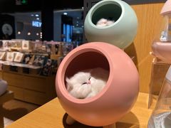 -九木杂物社(新一城店)