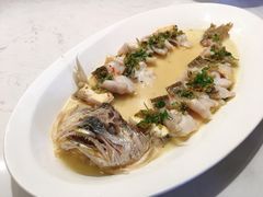 海钓大黄鱼-翠府(翠湖北路店)