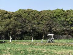 -良渚古城遗址公园