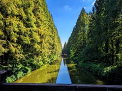 -黄海国家森林公园