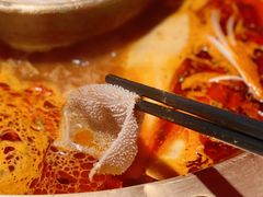 -哥老官重庆美蛙鱼头(龙湖杭州金沙天街店)