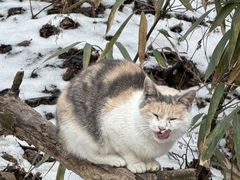 -终南山南五台景区