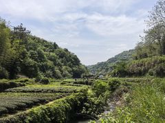 -十九峰景区-倒脱靴