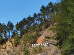 -永州阳明山国家森林公园