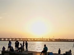 -宝安西湾红树林湿地公园