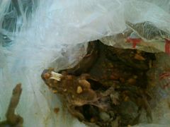 -老号尤兔头(幸福店)