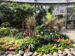 -北京植物园-展览温室