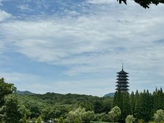 -宜兴龙背山森林公园