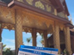 -西双版纳傣族园