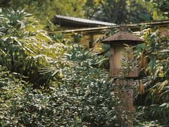 -广州兰圃