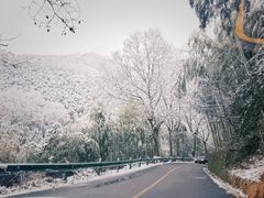 -莫干山风景区