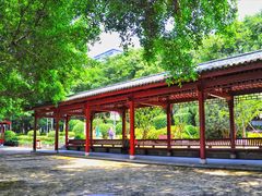 -光明港公园