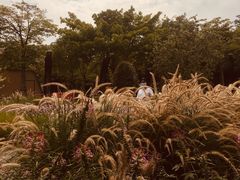 -映月湖公园
