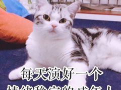 -MM·五声·音乐人与调酒师(西安路店)