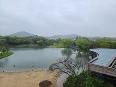-上海佘山世茂艾美酒店