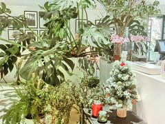 -一尺花园(安和花园店)