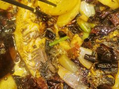 -沈姐万州烤鱼(沙坪坝七中店)