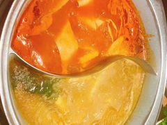 -青瓷火锅料理(西单大悦城店)