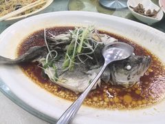 笋江蒸海鲈鱼-泉州酒店-温陵中餐厅(庄府巷店)