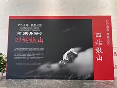-四川美术馆