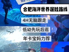 -合肥海洋世界